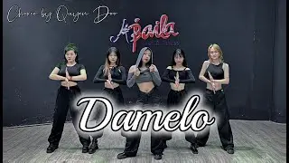 DOLLA   DAMELO ft  Hard Lights | Zumba Dance | Choreo By Quyên Doo | Abaila Dance Fitness