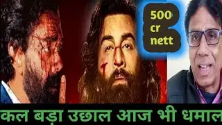 animal box office collection prediction day 17 | box office collection day 16