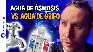 Agua de Osmosis vs Agua de Grifo  - Importancia de la Calidad del Agua en tus Acuarios Marinos.