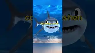 ⚙️ The Knife That Shoots Air Underwater!  WASP Injector Explained#shorts