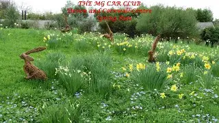 MG CAR CLUB  Devon and Cornwall Centre   Spring Run 2025