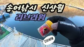 송어낚시 신상 웜 집어향까지