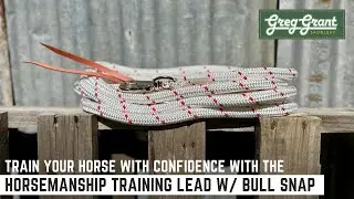 Train your Horse with Confidence with the Horsemanship Training Lead w/ Bull Snap