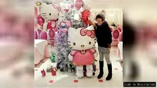 Children's Birthday Party Decoration Balloon Anime Hellos Kittys Scene Layout Cartoon Metallic Ballo
