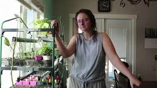 Changing my focus: Short season, chronic pain gardening.