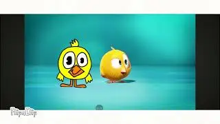 Where Is chicky AND playkids band chicky 2026 big bang