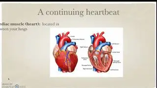 Your Hardy Heart