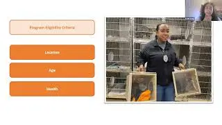 Lifesaving Labs: The Basics of Community Cat Programming