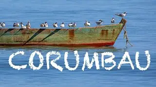 A vila mais linda da Bahia em dias de chuva 🌧️🌊#bahia #corumbau #viralvideo #chuva #vila #brasil