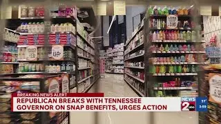 Republican lawmaker breaks with Tennessee governor over SNAP benefits, urges action