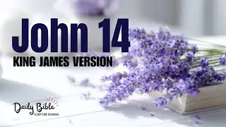 JOHN CHAPTER 14 | Jesus Promises the Holy Spirit and Comforts His Disciples
