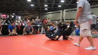 Europa 2013 - TBD vs. TBD Female Division