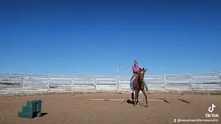 I keep it short because I believe bridleless is a privilege. I want this to be a fun game.