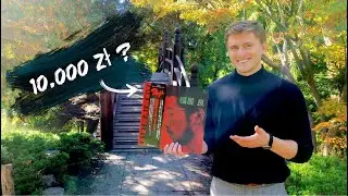 NAJRZADSZY japoński winyl w historii? Ryo Fukui - 