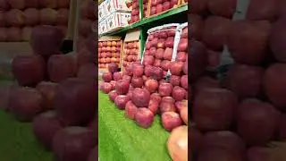Balochistan World Most Tasty Apple