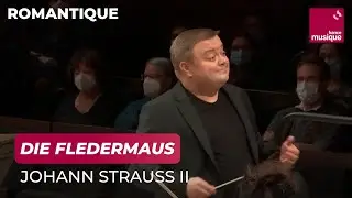 Johann Strauss II : Die Fledermaus (La chauve-souris), Ouverture
