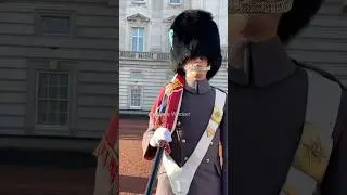 Irish Guards #irish #buckinghampalace #london #viral #shorts #kingsguard #britisharmy