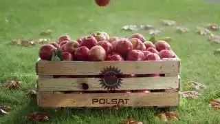 Polsat- jesień 2016 (jingles)
