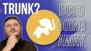 Is Elephant Money Changing? There Is Some BIG News!