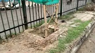 New style tree guards on Najafgarh Road