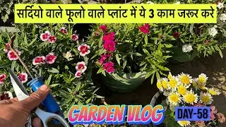 ठंड में पौधे न मुरझाएँ ❄️ | सर्दियों में पौधों की देखभाल का असली तरीका
