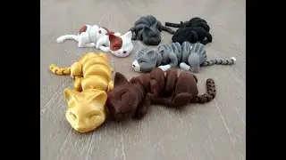 Lazy Cat - Post printing