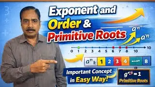 Primitive Root Theorem in Number Theory | Proof, Examples & Applications | B.Sc.