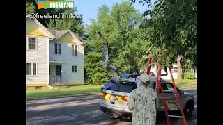 The Osprey Story | Green Lake, Wisconsin
