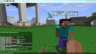 Minecraft Server Success - JetsuSeal Minecraft