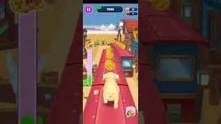 Pet Runner #Shorts  #Trending #1   @subscribetomyshorts
