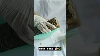 Neem soap 🌿🧼 #unmolding #coldprocess #soapmaking  #neemsoap #coldprocesssoap  #soapcutting #diysoap