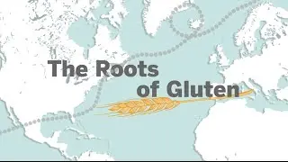 How we made gluten into a monster