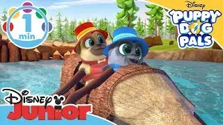 Puppy Dog Pals | Oh Snapper - Song 🎶 | Disney Kids