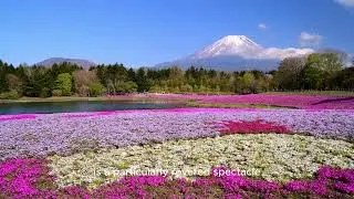 Mout Fuji | JAPAN 4K.