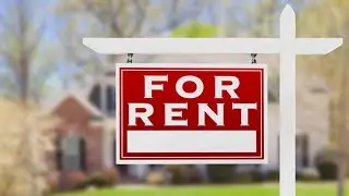 What does Alabama law do to protect tenants living in squalor?