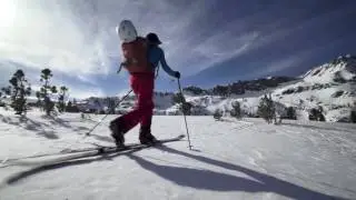ROC Knee Injuries
