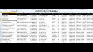 2013 USA Business Database - List of US Companies in Excel format