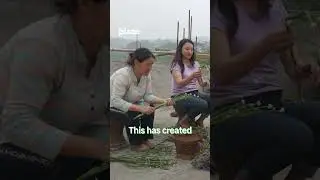 The Flower lady of Manipur