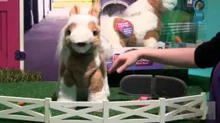 Baby Butterscotch Pony - 2012 New York Toy Fair - The Toy Spy
