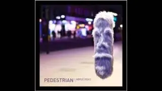 Pedestrian - Hoyle Road [Born Electric]