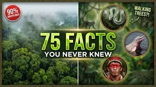 Amazon Rainforest: 75 Mind-Blowing Facts You Never Knew