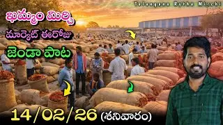 14/02/2026 KHAMMAM MIRCHI MARKET PRICE UPDATES JENDA PATA #khammam  #news&nbsp; #farming  #redchilli&nbsp; 