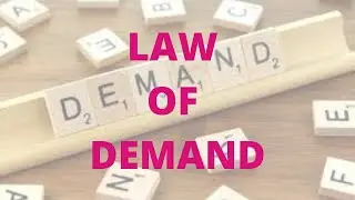 Law of Demand || KVS, NVS, HTET, DSSSB PGT Economics|| NTA- NET Economics||