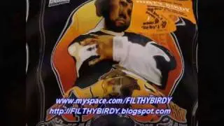 Dirty Birdy - 23 Degrees (Tweet Tweet)