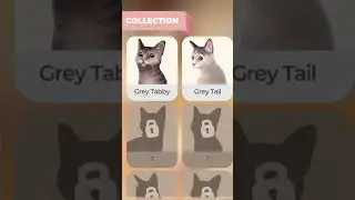 so cute Pais #cat #cats #catvideos