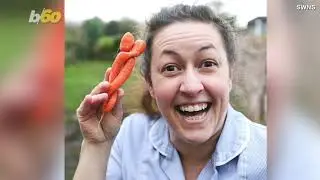 Just in Time for Valentine's Day These 'Copulating' Carrots Will Have You in Tears