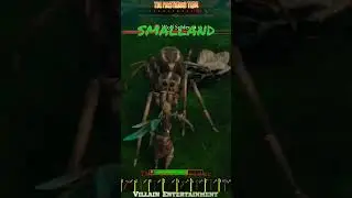 Watch Out!!! 🏃 Wolf Spider Incoming 🕷️ Time to takeout the spider ⚔️ in Smalland 🐞