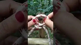 tips and tricks #handmade #knot #easyknot #diy #diycrafts #camping #tutorial #knottying #tricks