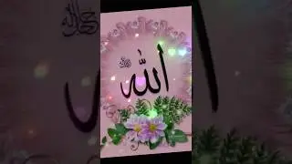 islamic #live #beautiful #gojol #allah #short #video🌹