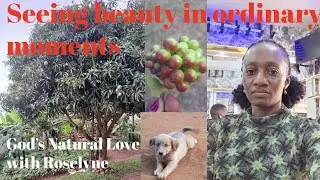 Seeing beauty in ordinary moments @ God's Natural Love 